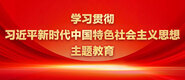 自拍操女人逼学习贯彻习近平新时代中国特色社会主义思想主题教育_fororder_ad-371X160(2)